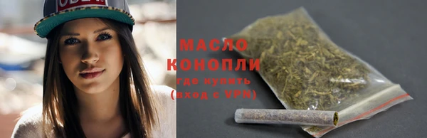 крисы Богородск