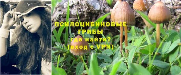 каннабис Богородицк